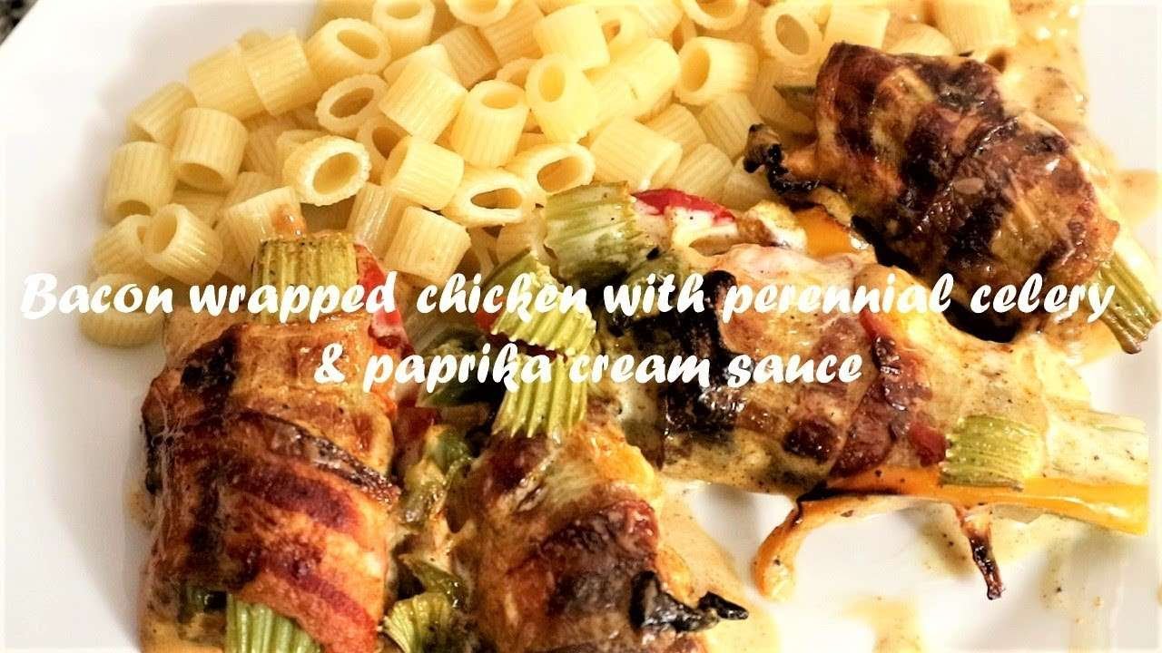 Bacon wrapped chicken with perennial celery & paprika cream sauce recipe