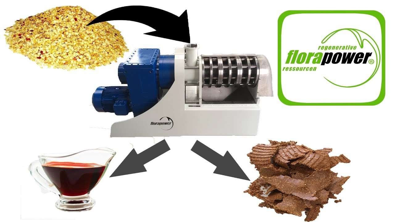 Paprika Press, Pepper seeds press, Continuous Paprika pressing by Florapower, Pepper Pressing