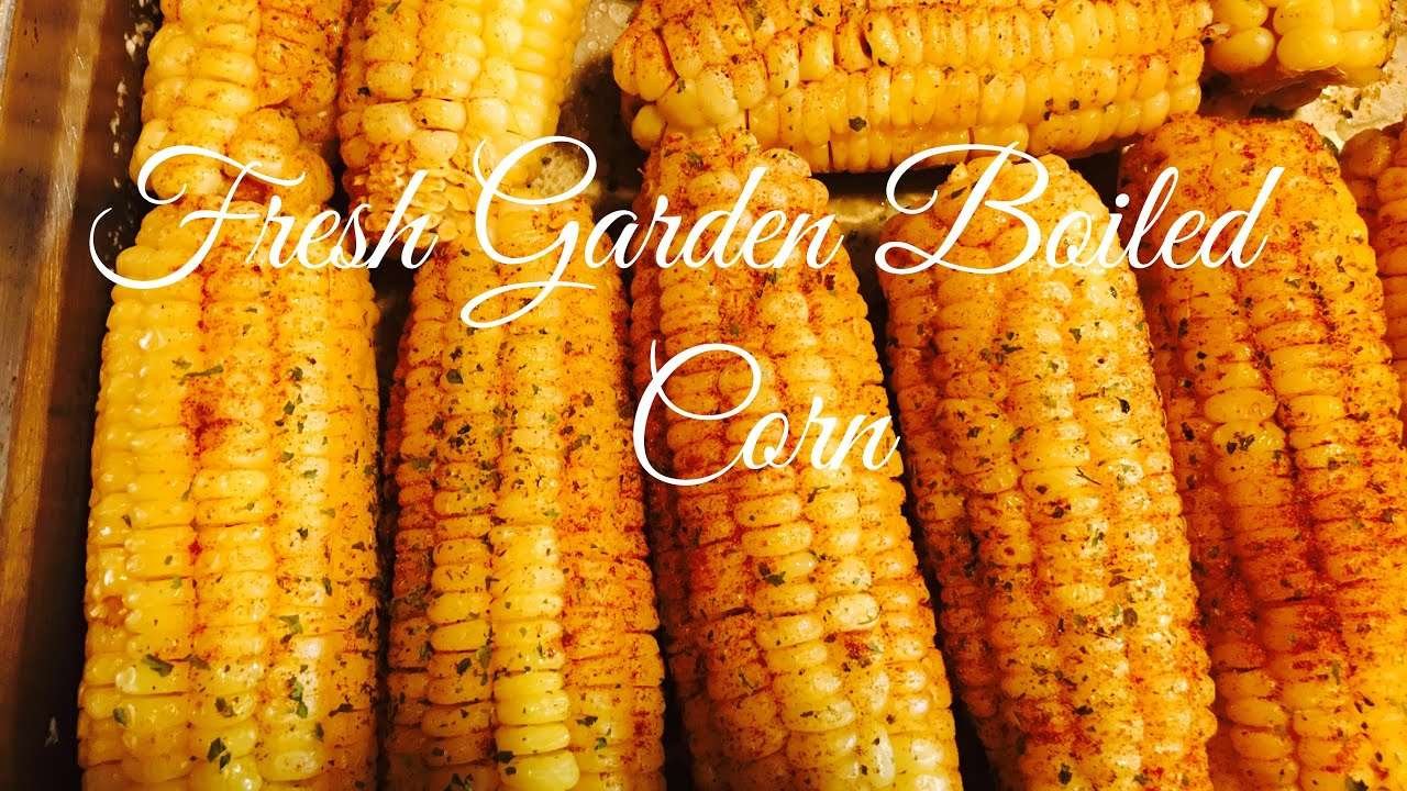 GARDEN FRESH BOILED CORN COOKING WITH JUDY CALDWELL