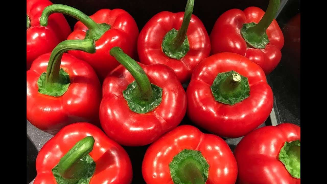 PESTO VAN GEGRILDE PAPRIKA