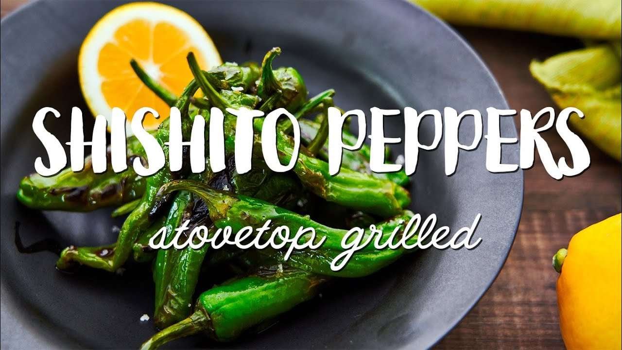 Grilled Shishito Peppers Recipe