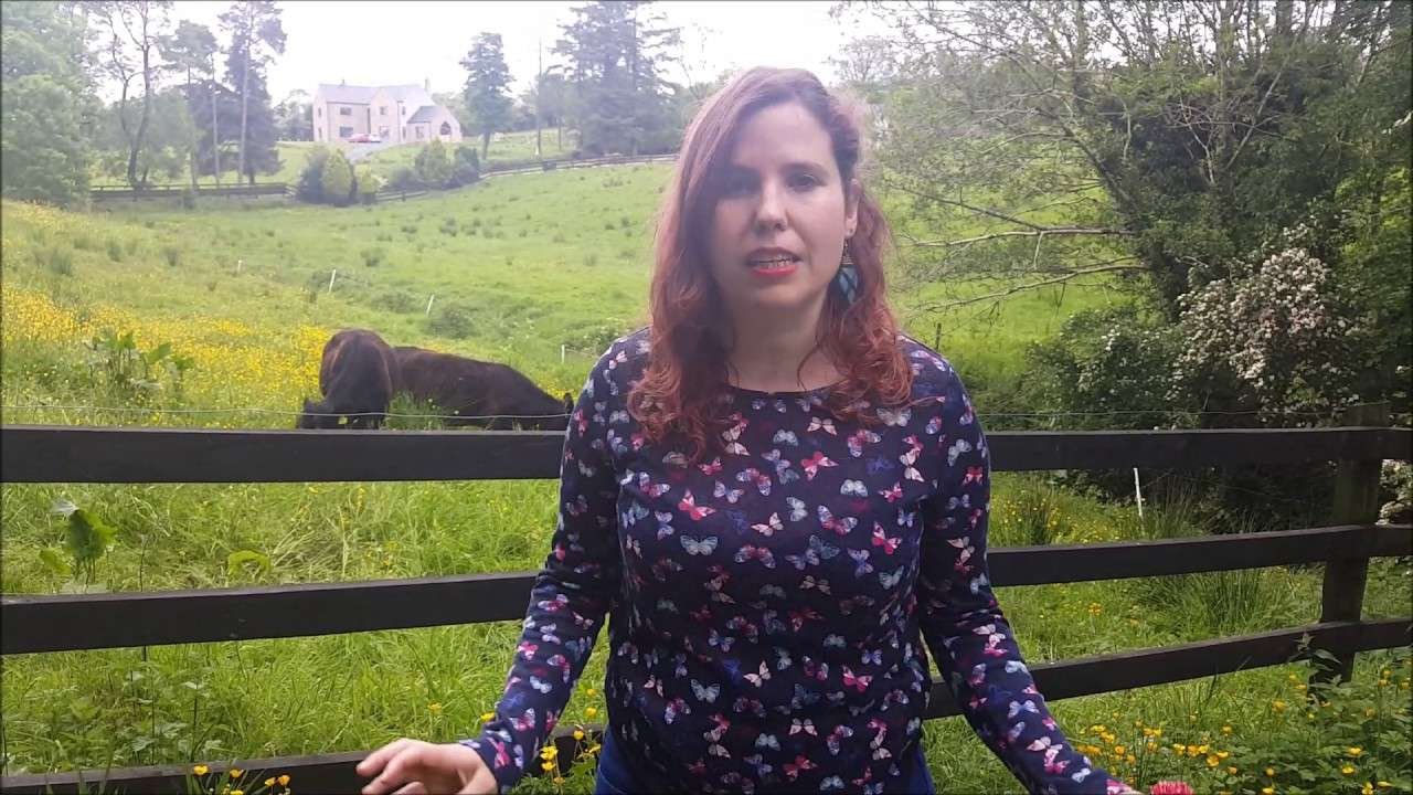 Saffron Paprika Trailer