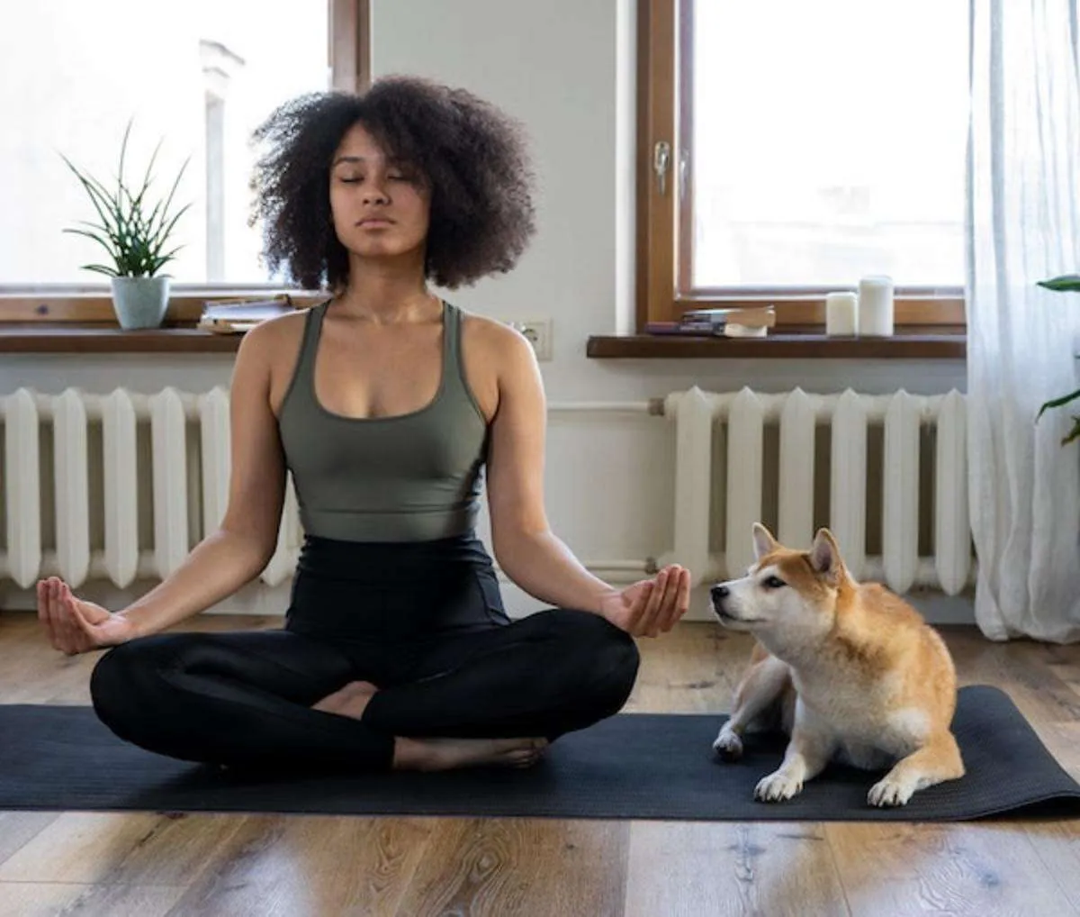 Whole-Health Pet Care Practices | Holistic Pet Care