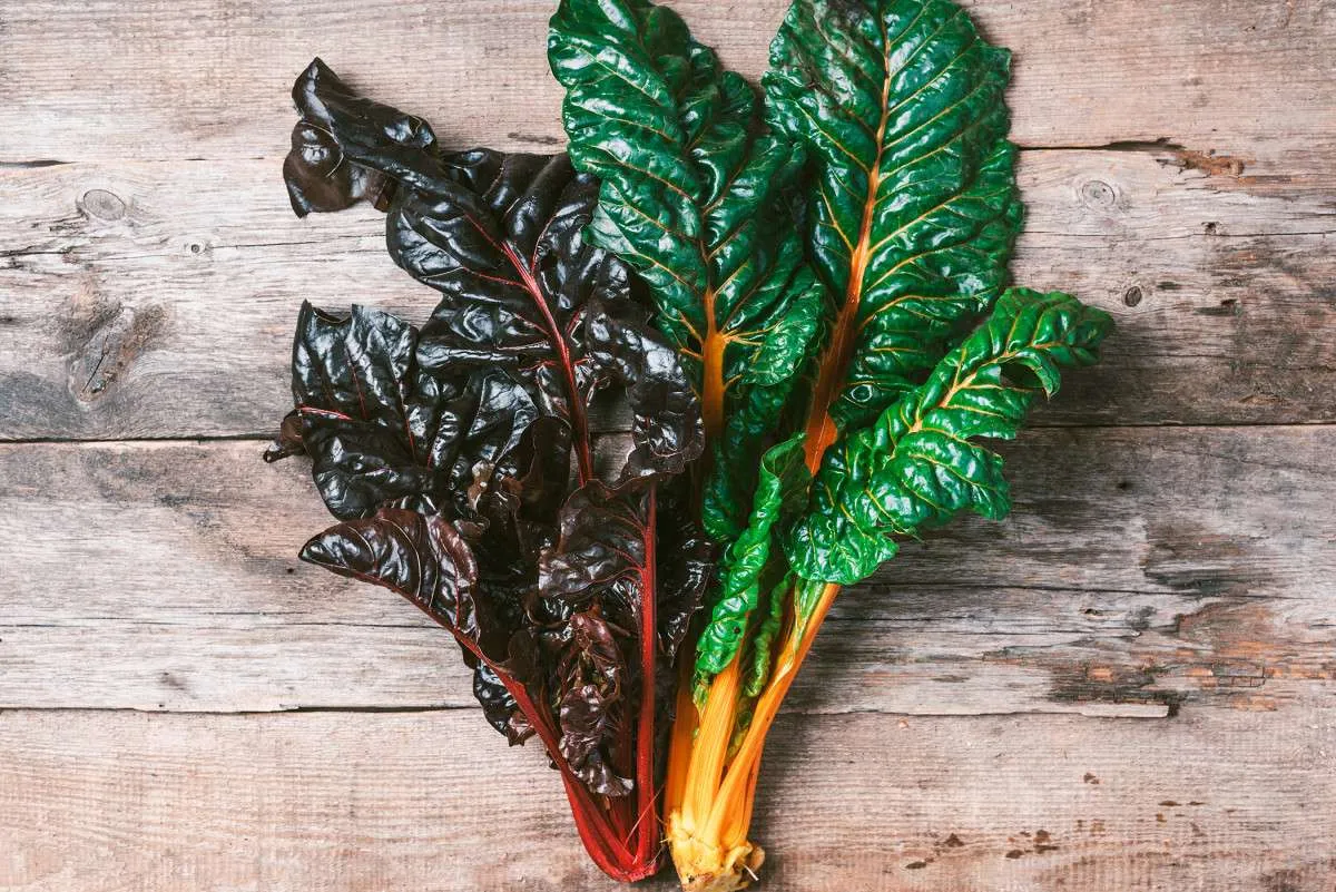 Superfood recipes – Better Nutrition