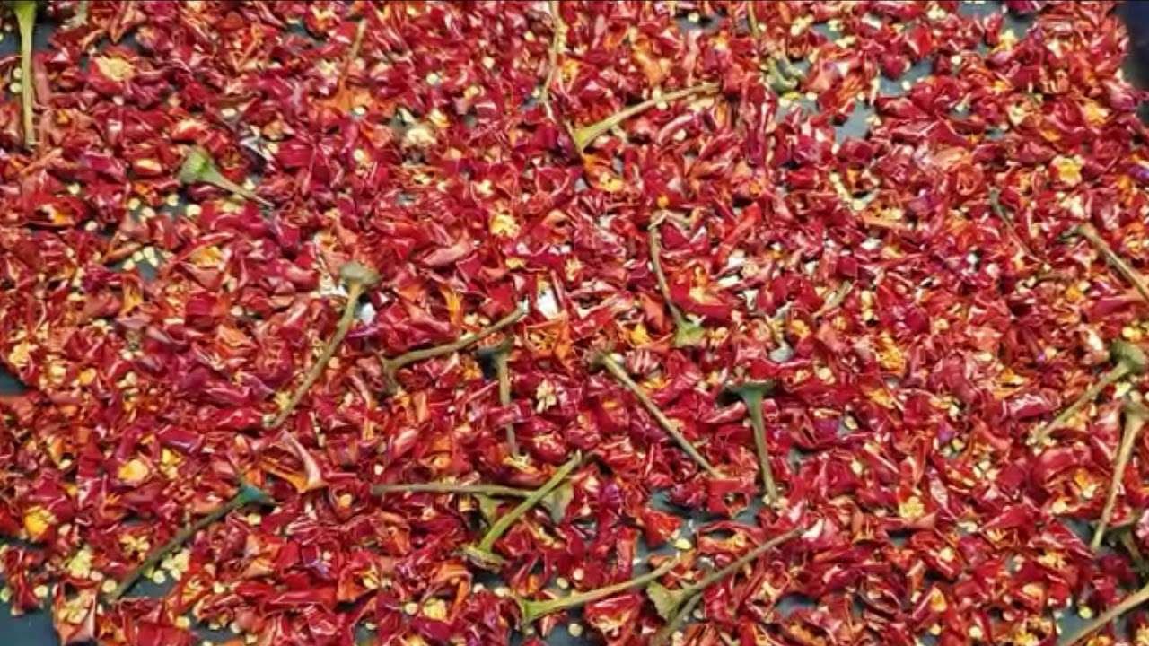 Homemade Natural Garlic & Paprika Powder seasoning at home | Easy step-by-step recipe