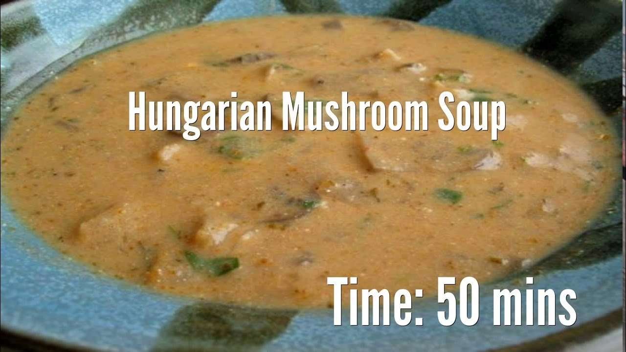 Hungarian Mushroom Soup Recipe