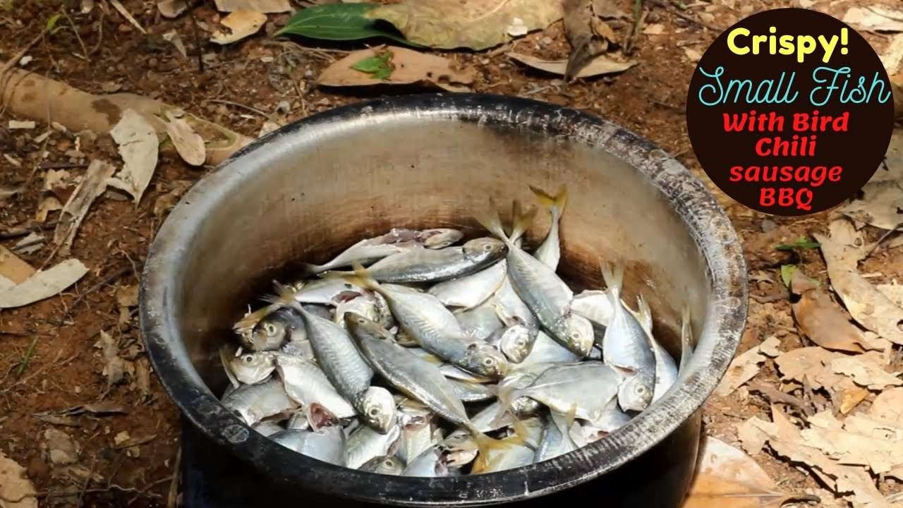 Fried Small Fish with yogurt sauce  bird chili sausages BBQ | Traditional Cooking  | Jungle Chef