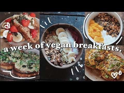 a week of vegan breakfasts 🥑 7 breakfast recipes {easy, delicious}