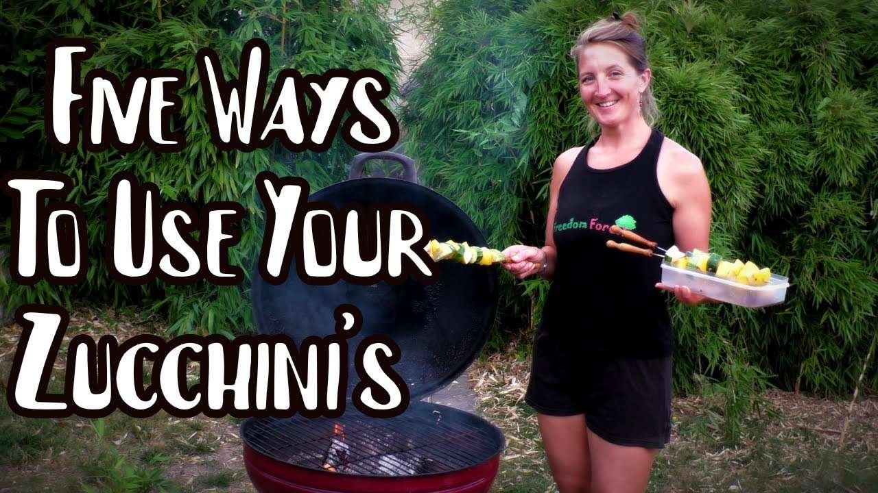 Zucchini/Courgette Recipes – FIVE SUPER EASY, TASTY vegan ideas to use up Courgettes – All will LOVE