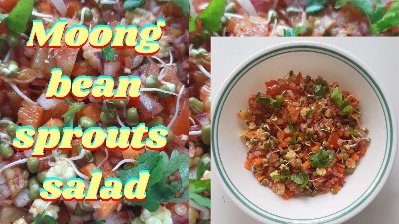 Mung/moong bean sprouts salad/ Easy quick veggie protein salad – Pani's Kitchen