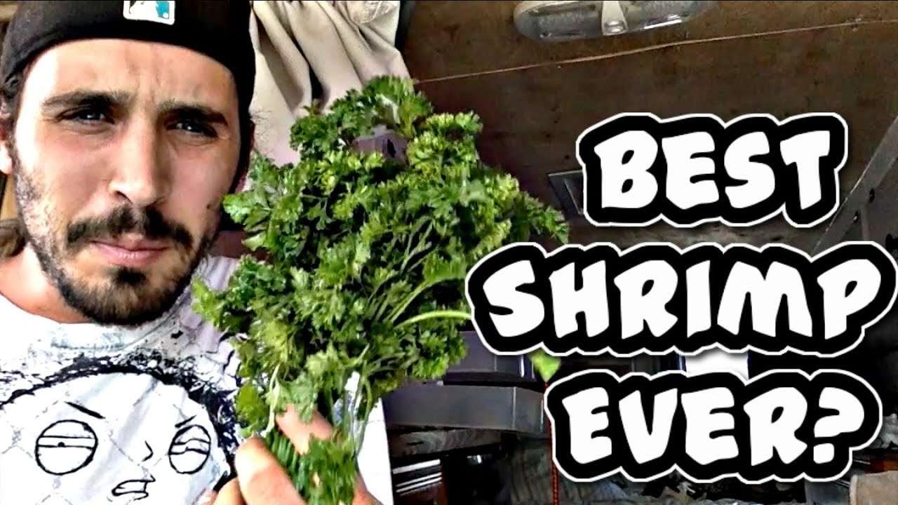 Camper Van Cooking With Cory Ep.1 ( Best Garlic Shrimp Recipe In The World!)