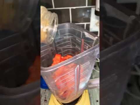 Seco de pollo – Chicken stew