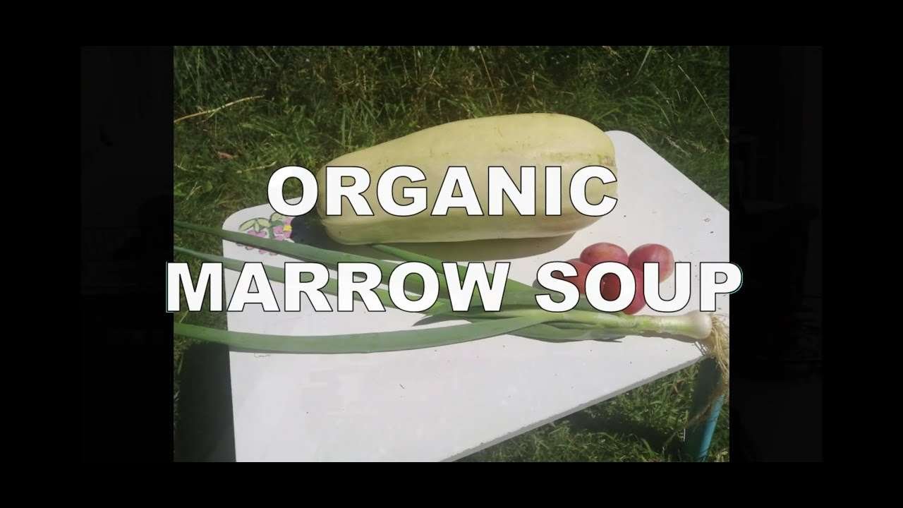 Simple organic marrow soup recipe