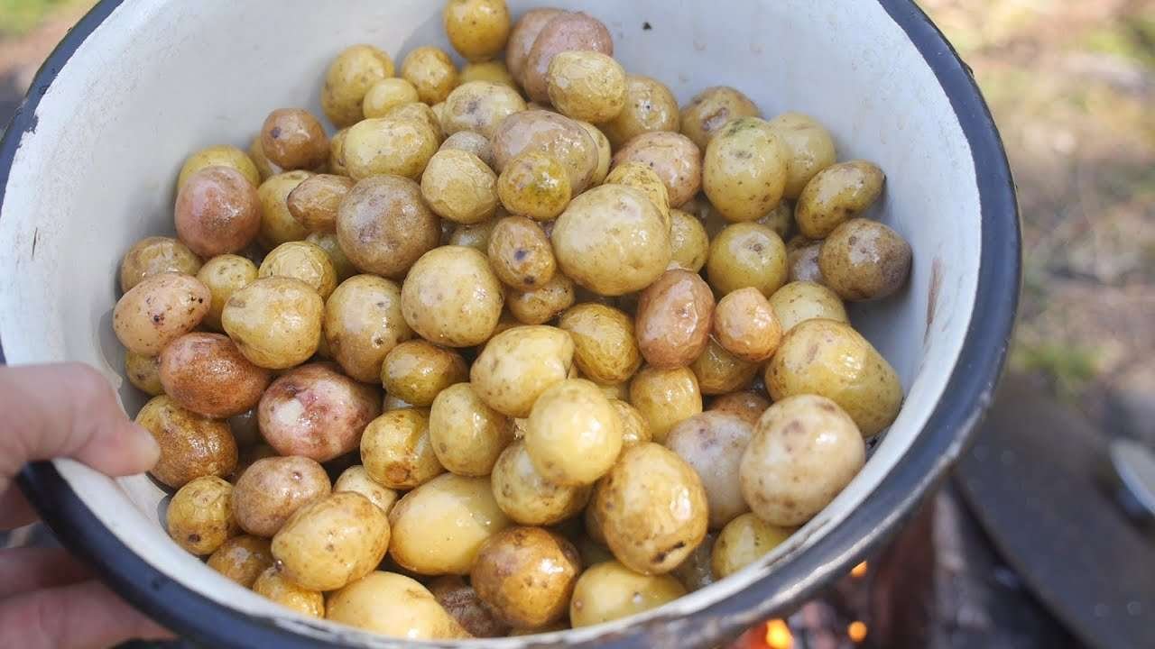 Best fried small POTATOES! We cook it every time after potato harvest