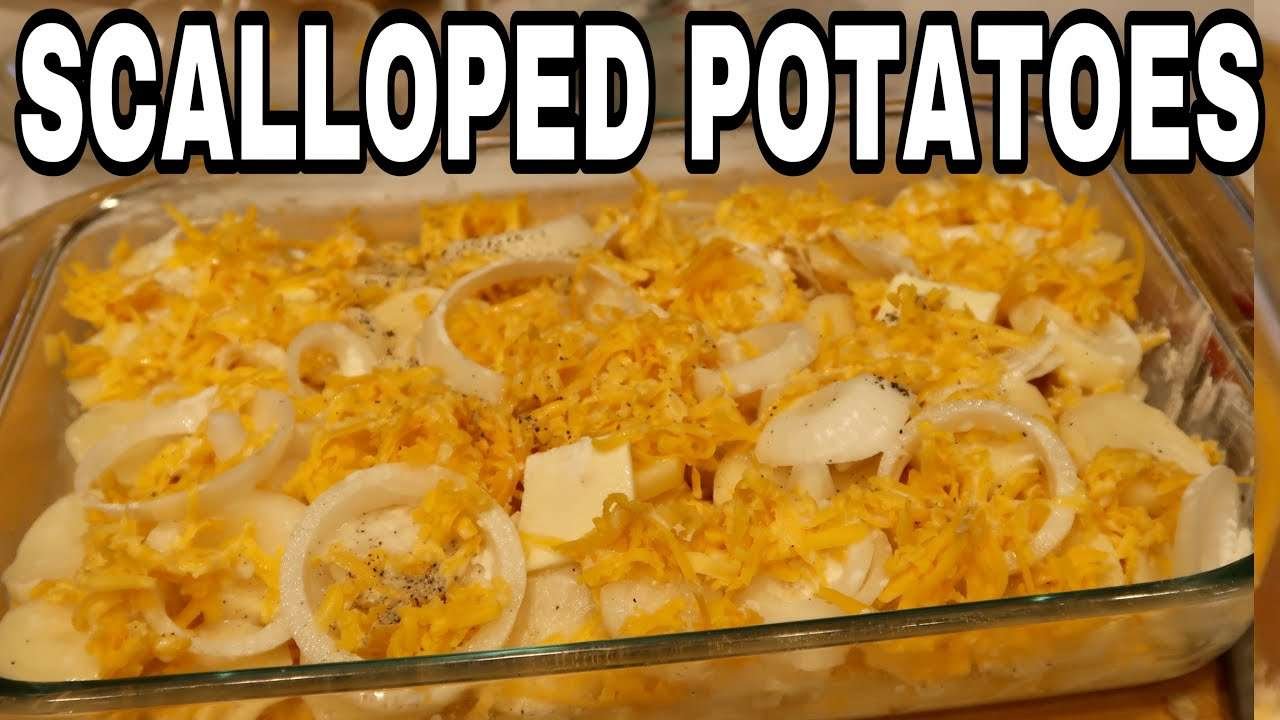 EASY CHEESY SCALLOPED POTATOES RECIPES!| #arceamor
