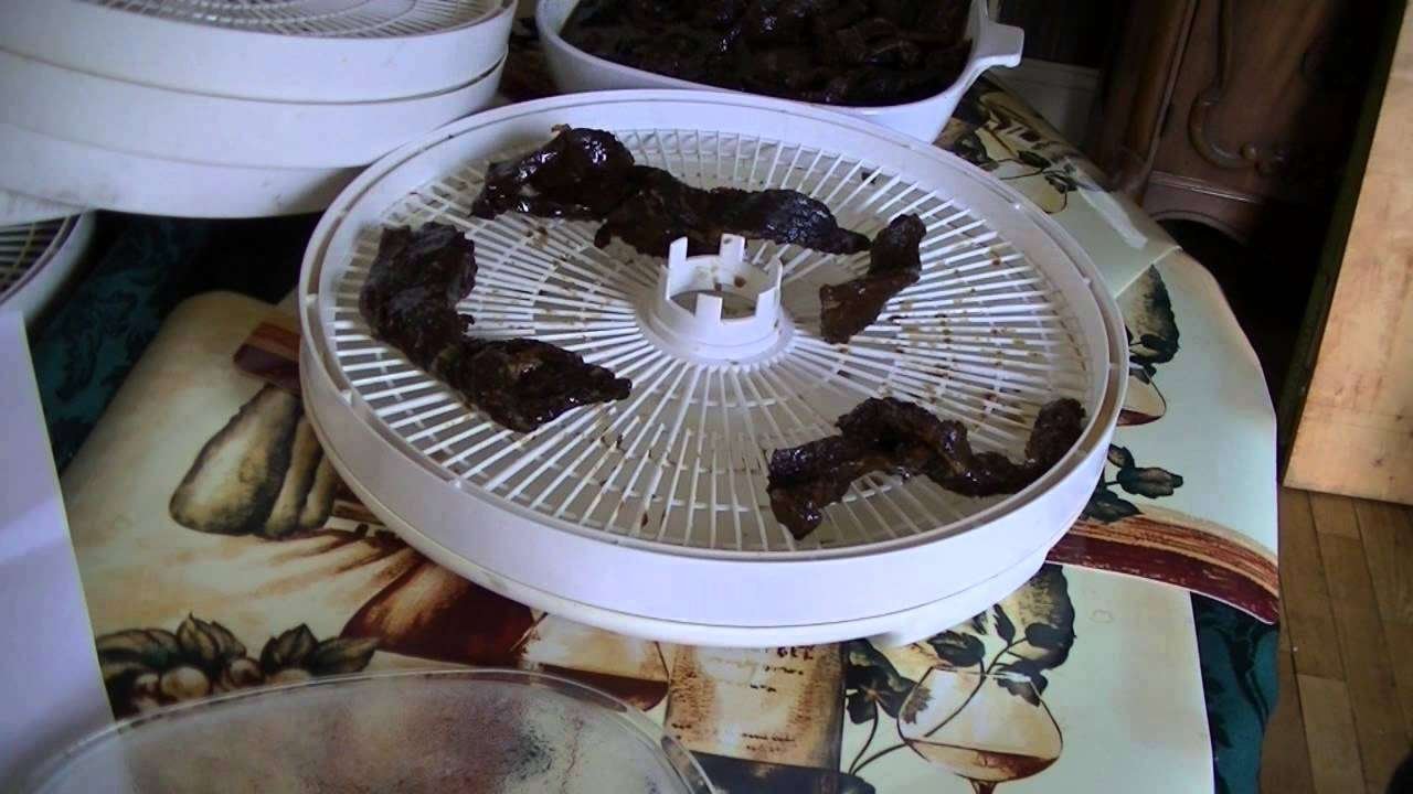 Beef Jerky  Marinade and Dehydrated