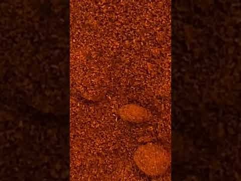 Spices paprika