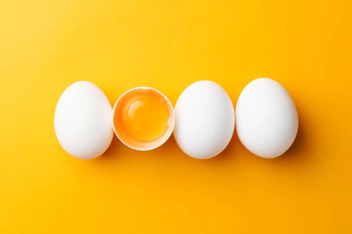 8 Foods High In Amino Acids