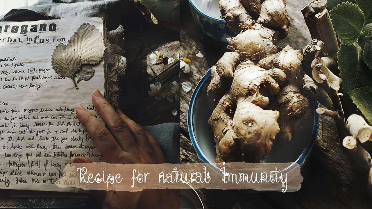Boost your immune system this season | Recipe for natural immunity
