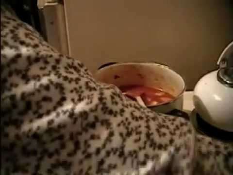 Cooking With Momma – Paprika Chicken Rice (with Chicken, Beef, and Pork Stew Variations)