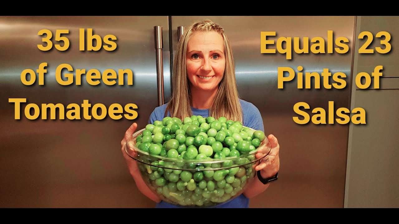 How to make Salsa Verde with Fresh GREEN TOMATOES!!