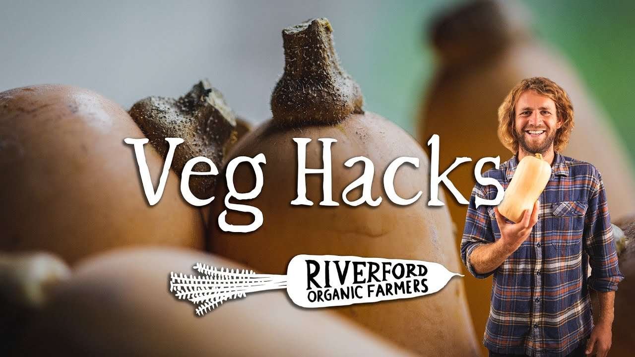 Squash Special | Honey & Paprika Glazed Hasselback Squash | VEG HACKS