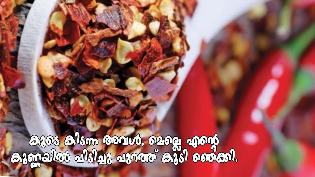 രണ്ടാം കെട്ടിലെ മകൾ || Food and Tips Recipes for your favorite holiday recipes are best || Paprika