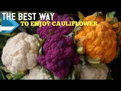 BEST WAY OF COOKING CAULIFLOWER "ZAALOUK"