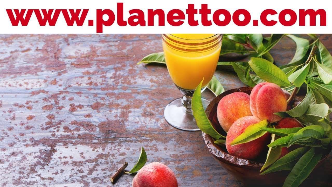 FREE PORTAL (Jobs & Candidates) Employment/Business Projects Career Industry/Recruitment/Internship