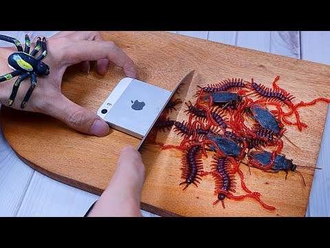Crazy Cooking – Fresh Spring Rolls Recipe | Свежие роллы от Explorer | ГОТОВКА ASMR & АСМР ЕДА