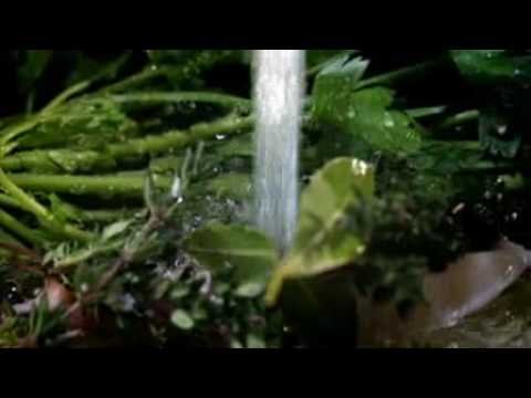 gordon ramsay  How to make fresh chicken stock