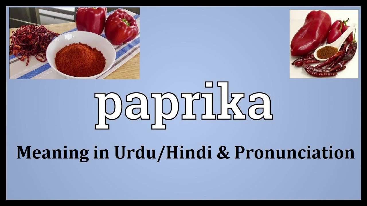 Paprika – Paprika Powder Meaning in Urdu-Hindi _ Paprika Pronunciation