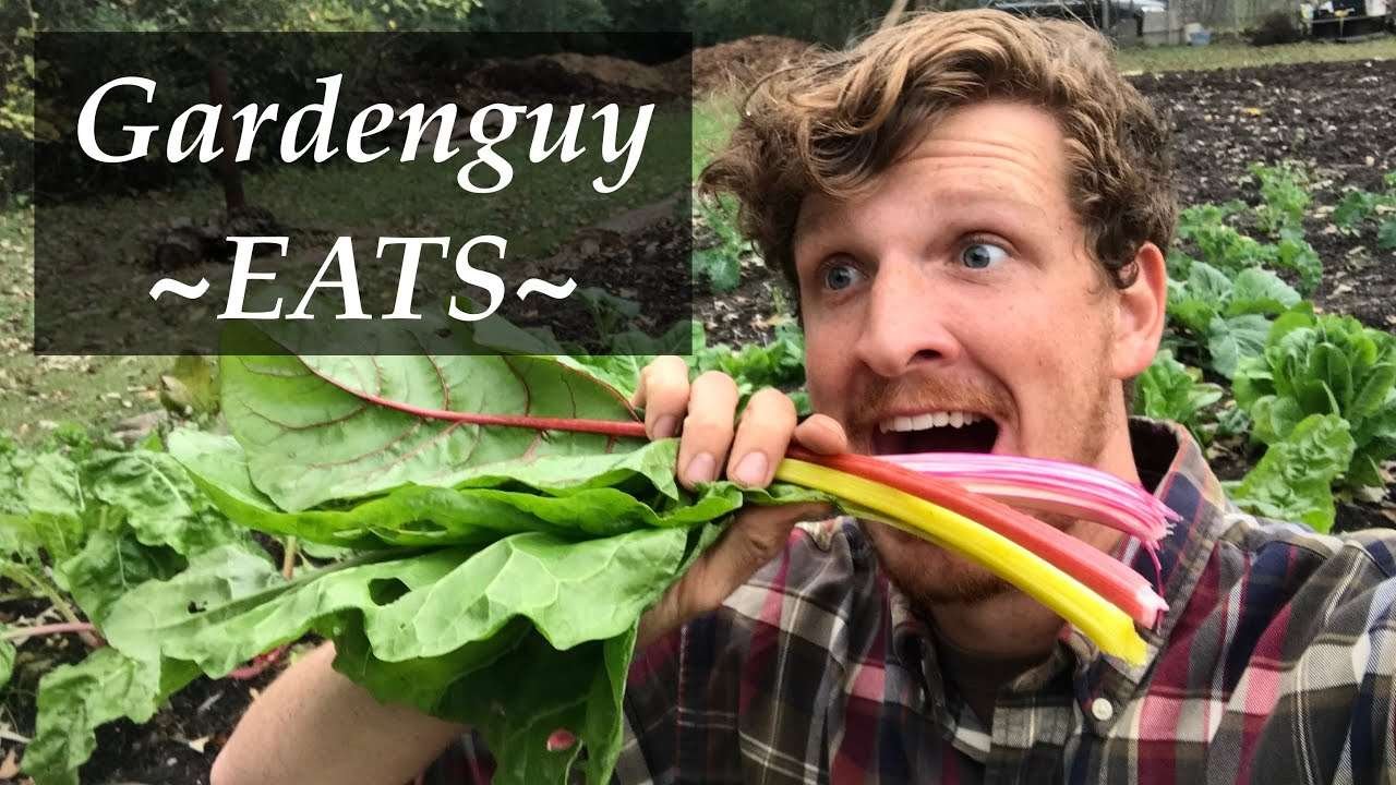 SUPER Saturday SCRUMPTIOUSNESS | Fresh from the GARDEN