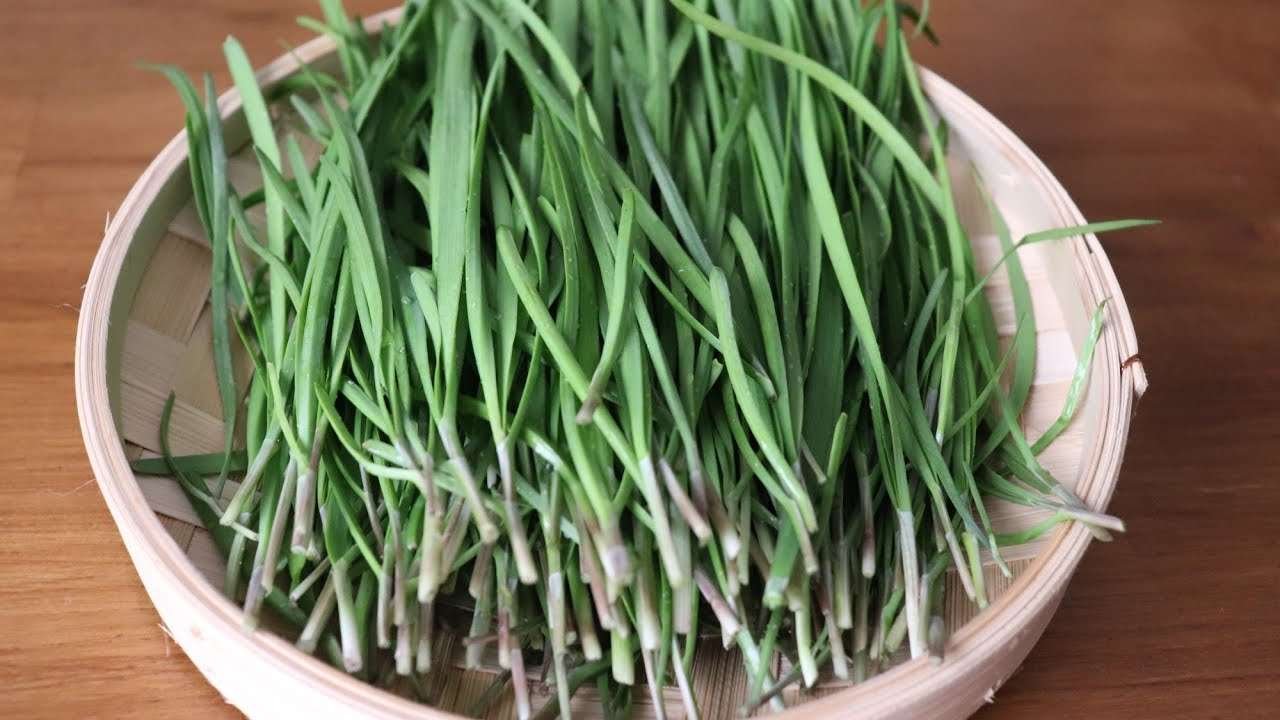 SUB) TOP 3 chives recipes /부추를 이용해 만든 3가지 간단한 요리