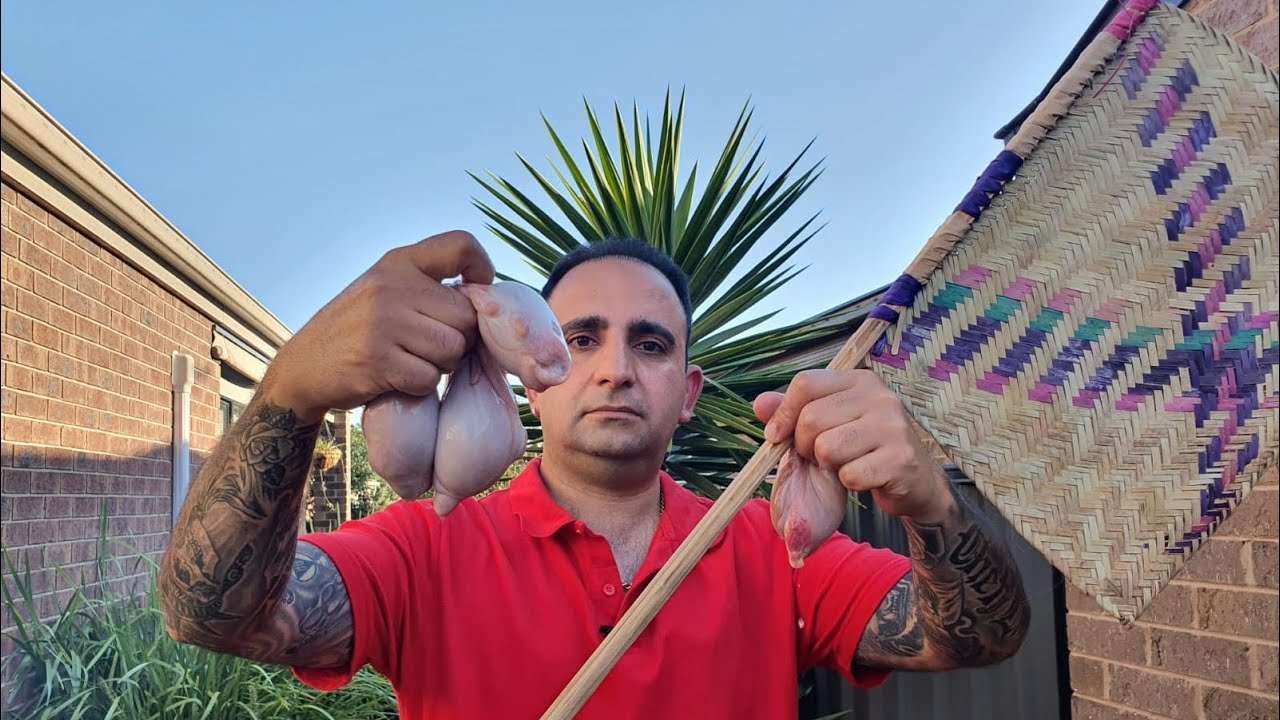 Lamb testicles kebab !grill lamb testicles , the best recipes