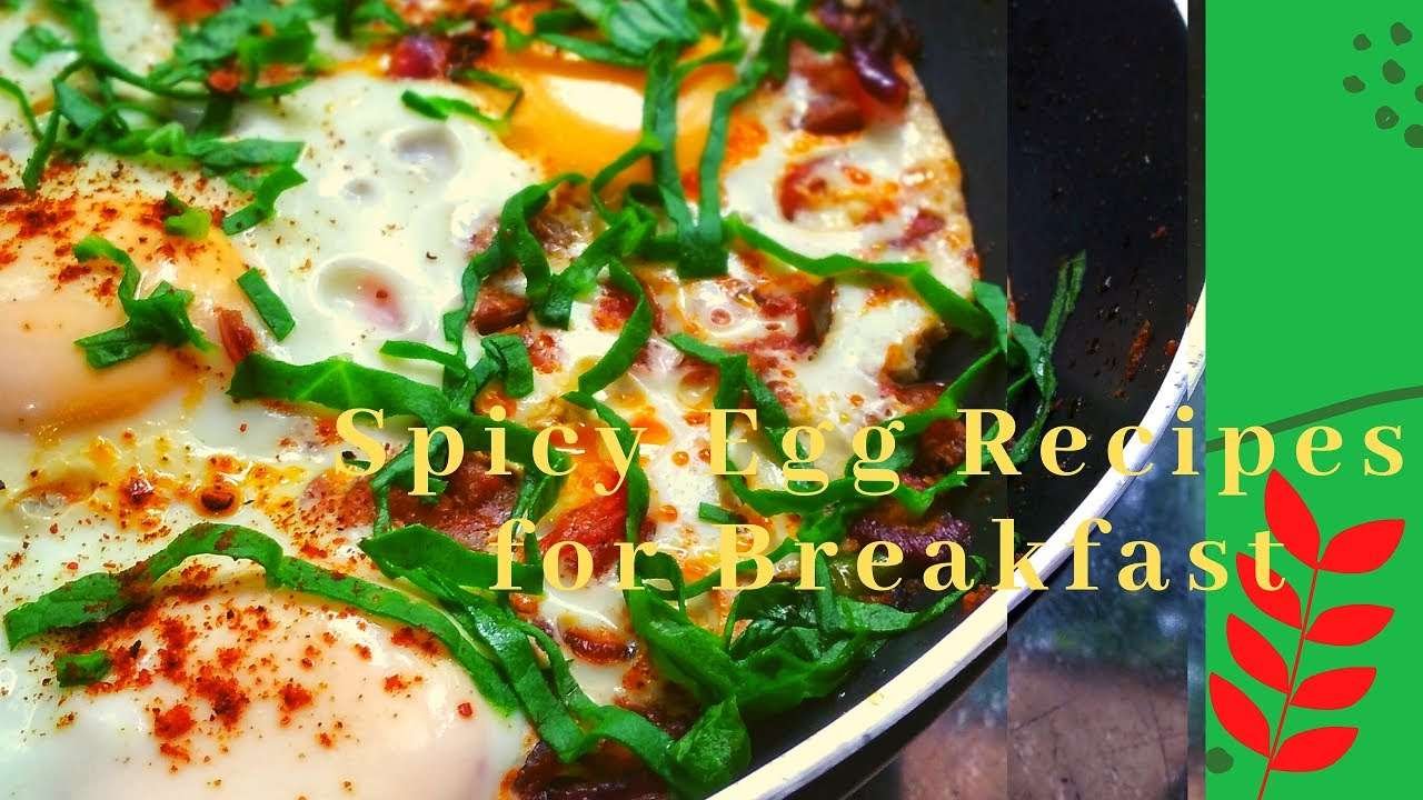 Make Spicy Egg Recipes for Breakfast |Spicy Egg Recipes|Egg Recipes