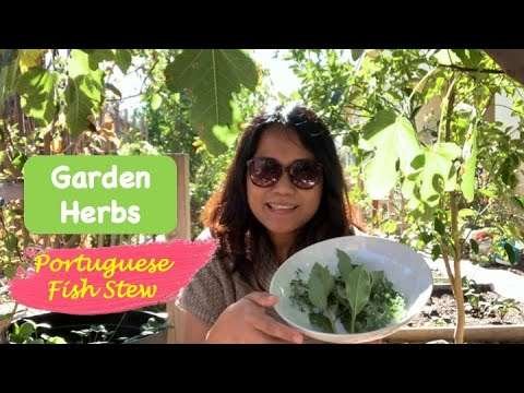 Portuguese Fish Stew With Herbs and Tomatoes From the Garden For Sunday Brunch | Gardening & Cooking