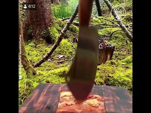 Cooking Lecó . Hungarian Sausage Stew in the Forest :