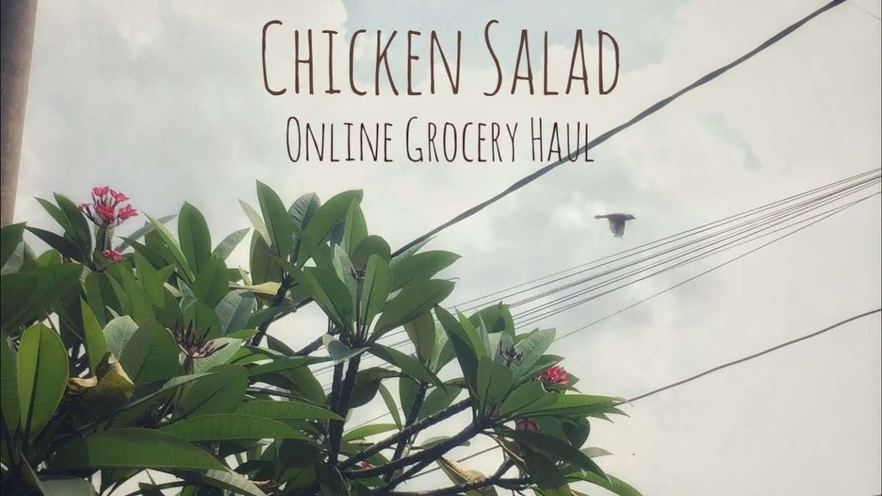 Chicken Salad – Online Grocery Haul   #asmr #videography #caramemasak