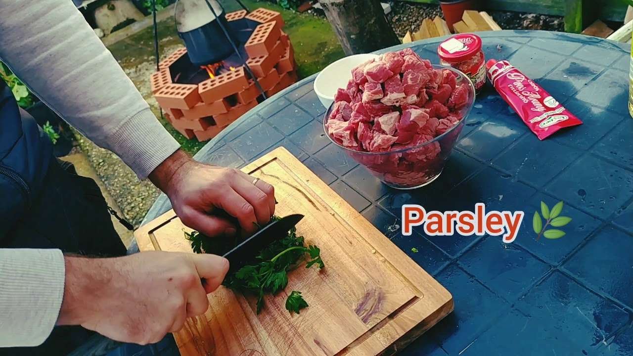 Hungarian Beef Stew with T-Chef