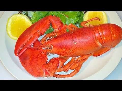 How to make the best build  Lobster and Sauce Recipe