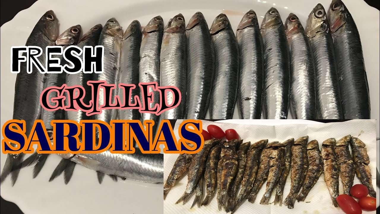 Fresh Grilled Sardines Recipe |How To Cook Fresh Sardines| #grilled sardine portugese style#sardines