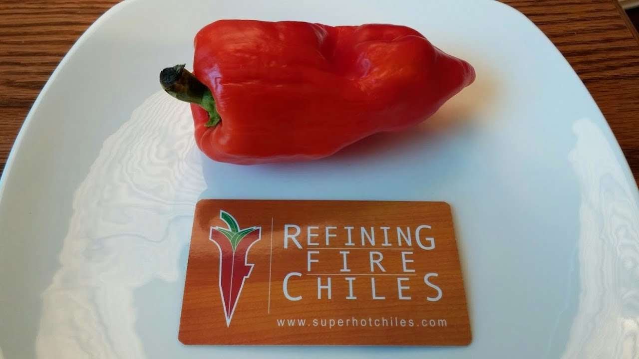 The "PCR Paprika" a Pod Review for Refining Fire Chiles