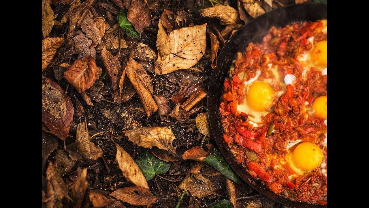 Shakshuka recipe spicy – cooking in  forest