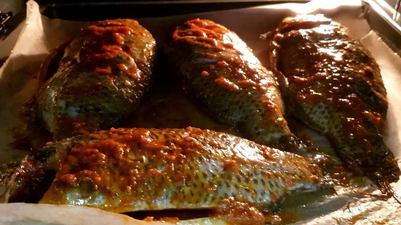 EASY over grilled tilapia fish