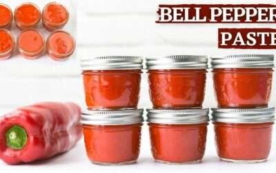 Red bell pepper paste || How to make red bell pepper paste || Paprika paste recipe