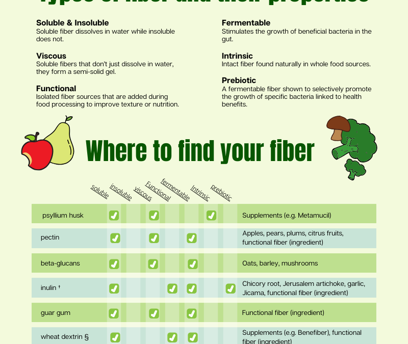 How Fiber and Prebiotics Build Stronger Bones