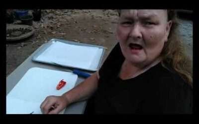 Leutschauer Paprika Peppers – Harvesting, Saving Seeds and Making Smoked Paprika