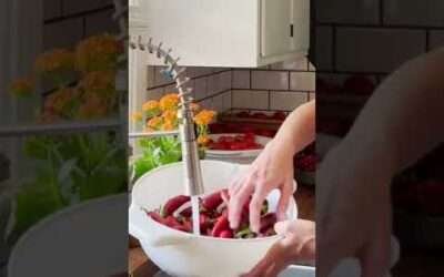 Making My Own Homegrown Paprika Powder!