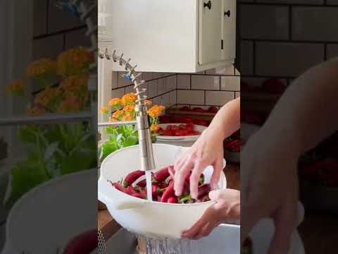 Making My Own Homegrown Paprika Powder!